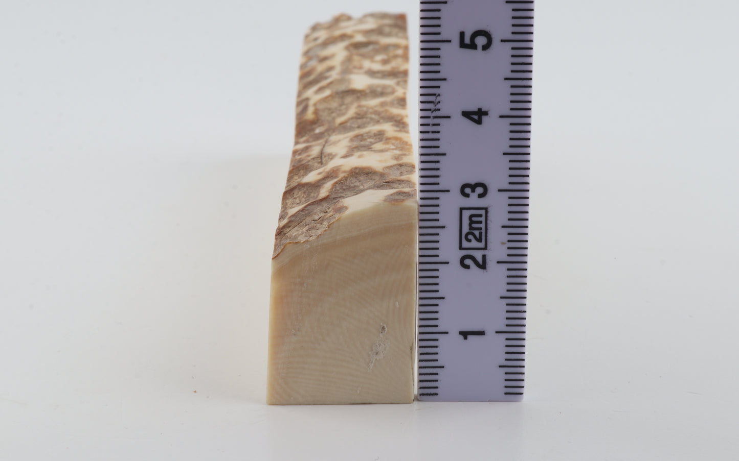 Natural mammoth ivory piece