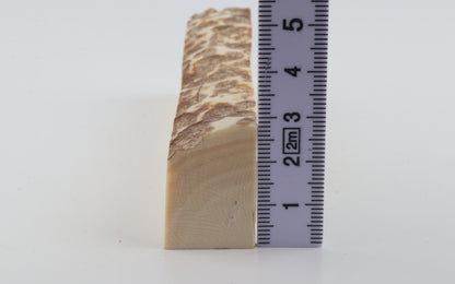 Natural mammoth ivory piece