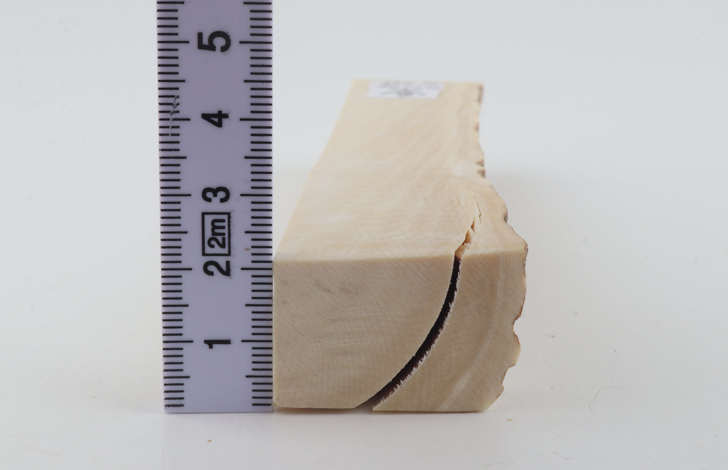 Natural mammoth ivory piece