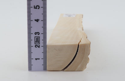 Natural mammoth ivory piece