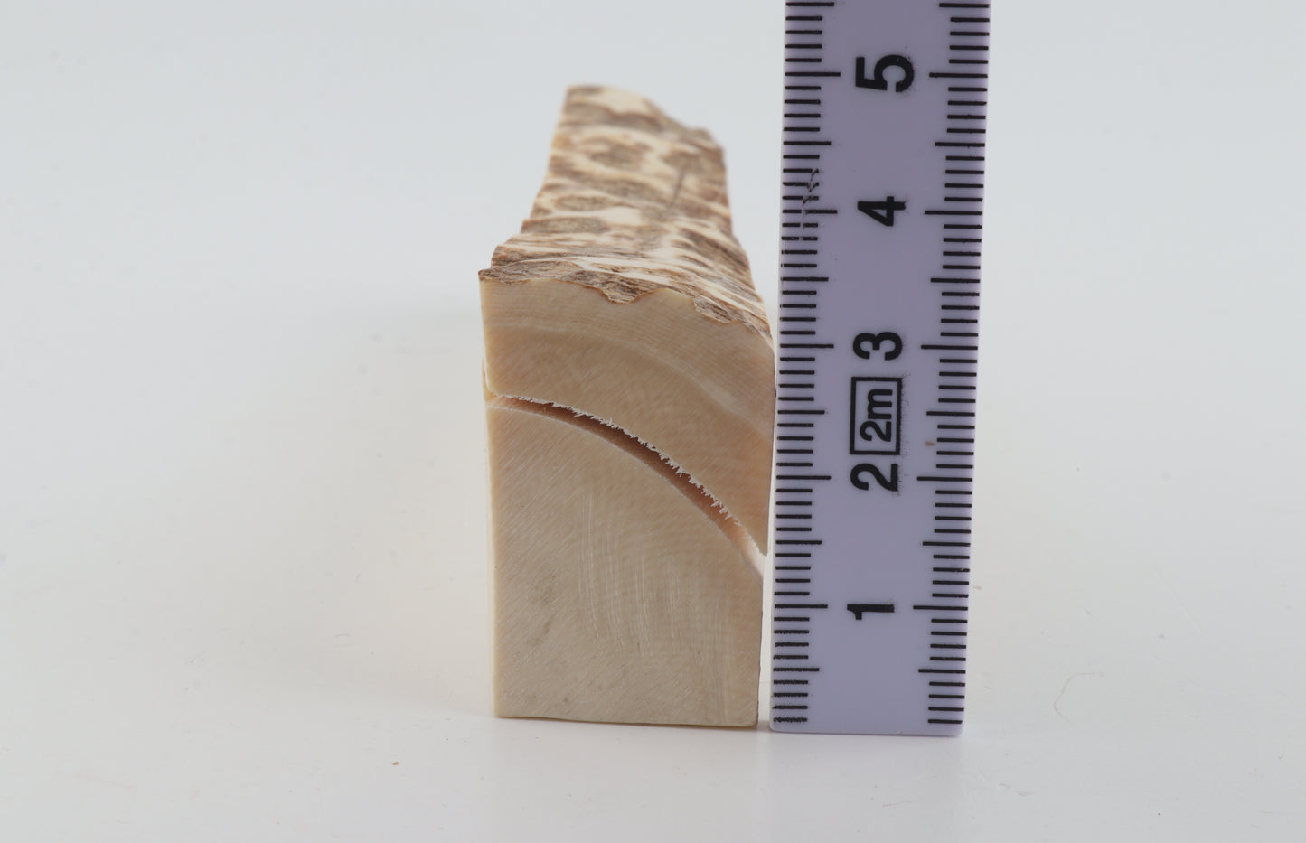 Natural mammoth ivory piece