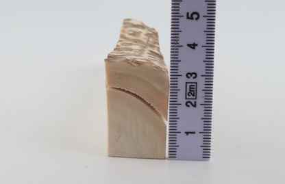 Natural mammoth ivory piece