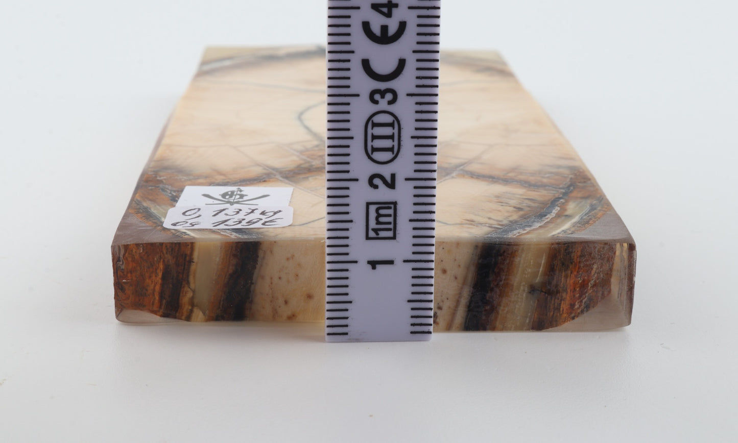 Stabilized mammoth ivory scales