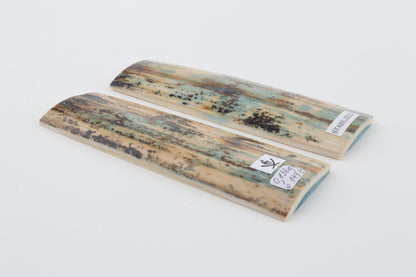 Stabilized mammoth bark scales