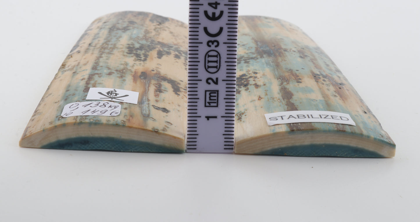 Stabilized mammoth bark scales