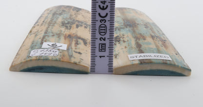 Stabilized mammoth bark scales