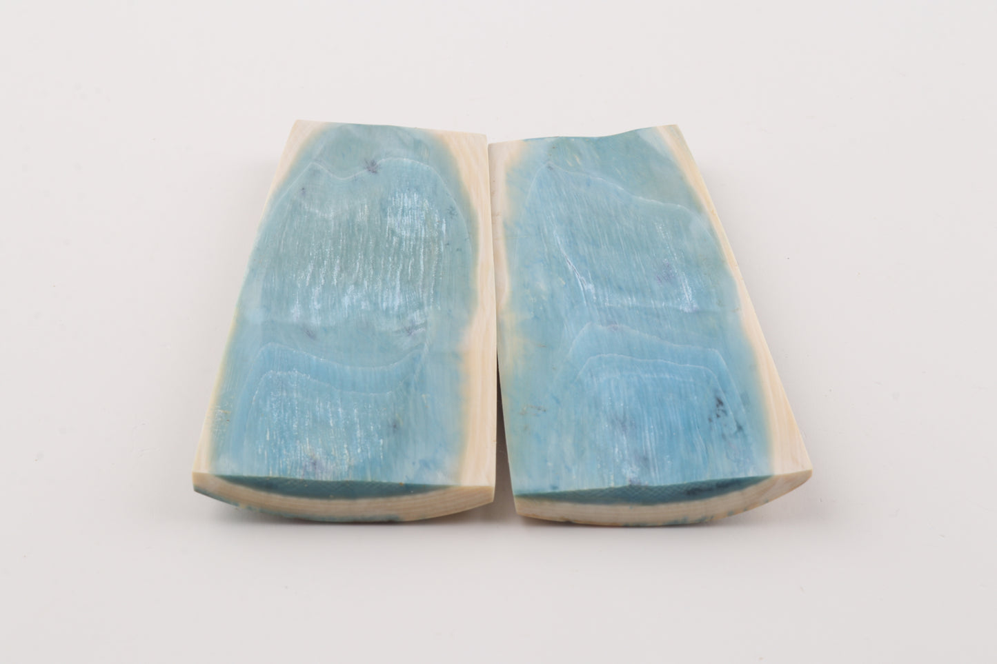 Stabilized mammoth bark scales