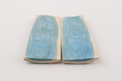 Stabilized mammoth bark scales