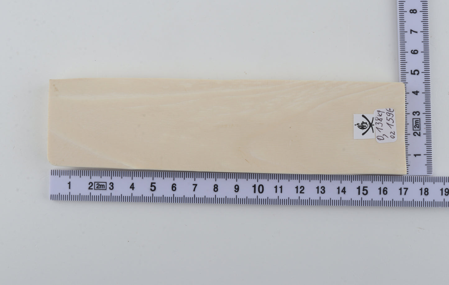 White mammoth ivory segment