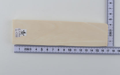 White mammoth ivory segment