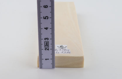 White mammoth ivory segment