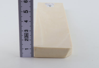 White mammoth ivory segment