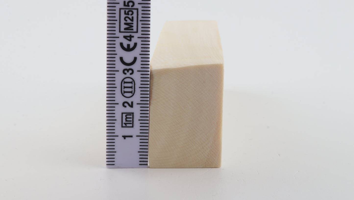 White mammoth ivory segment