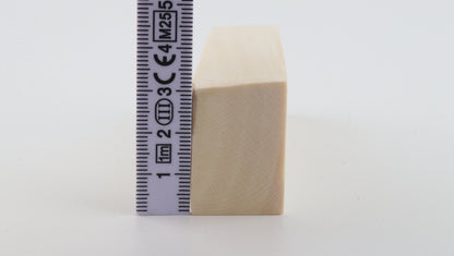 White mammoth ivory segment