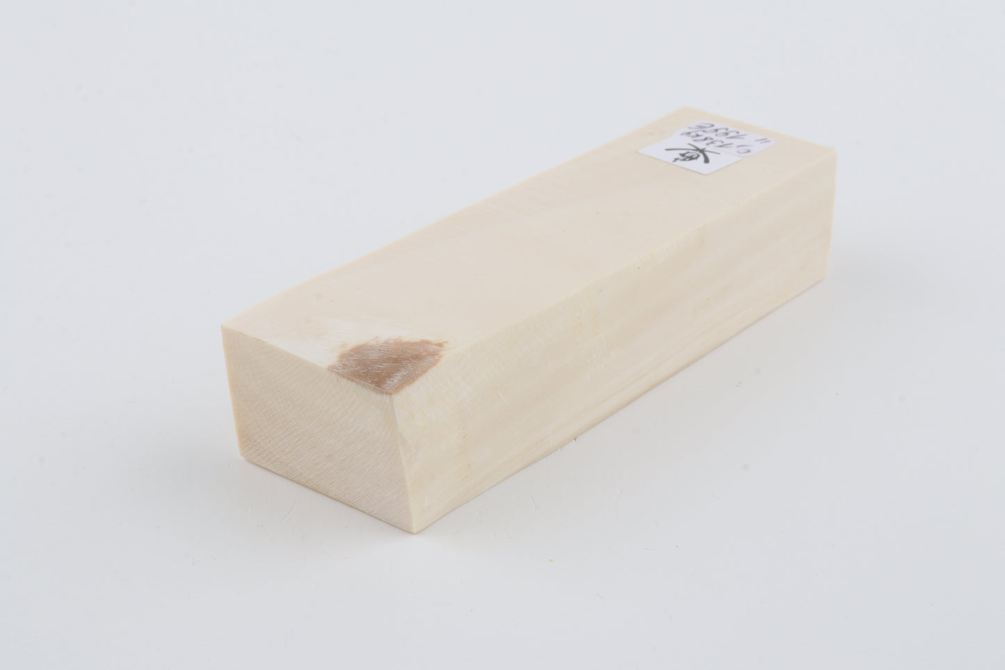 White mammoth ivory segment