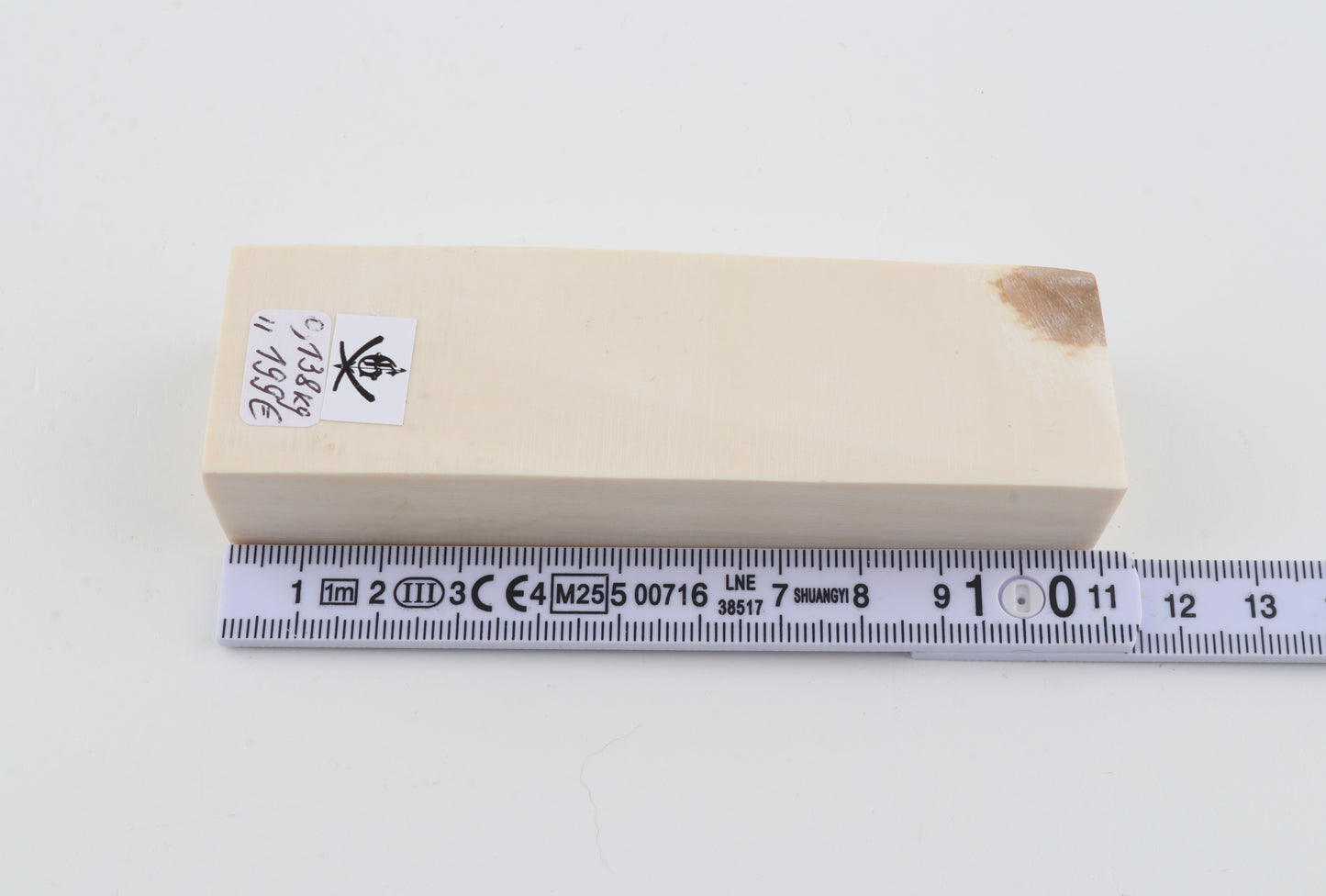 White mammoth ivory segment