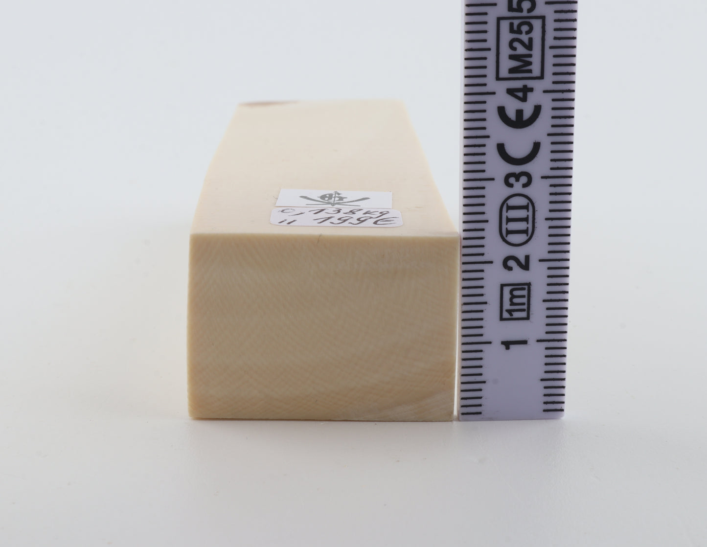 White mammoth ivory segment