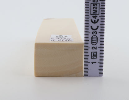 White mammoth ivory segment