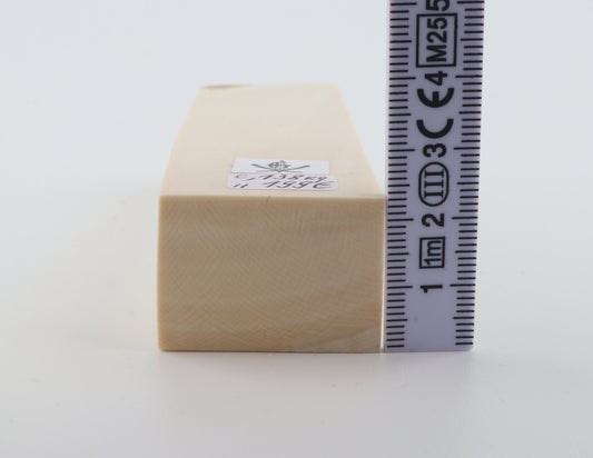 White mammoth ivory segment