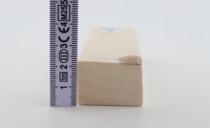 White mammoth ivory segment