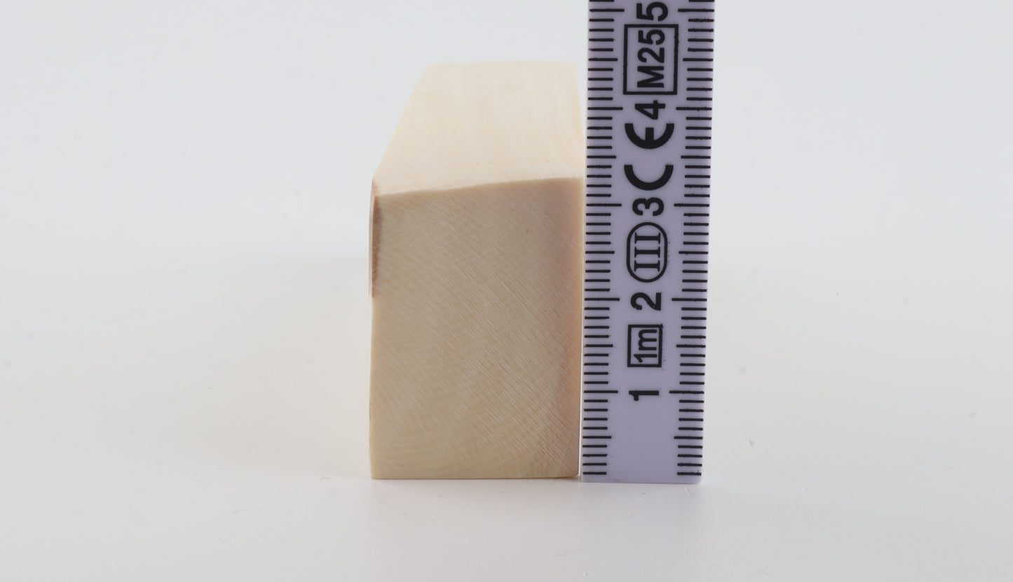 White mammoth ivory segment