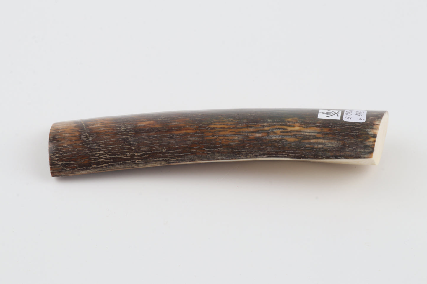 Brown-orange mammoth bark
