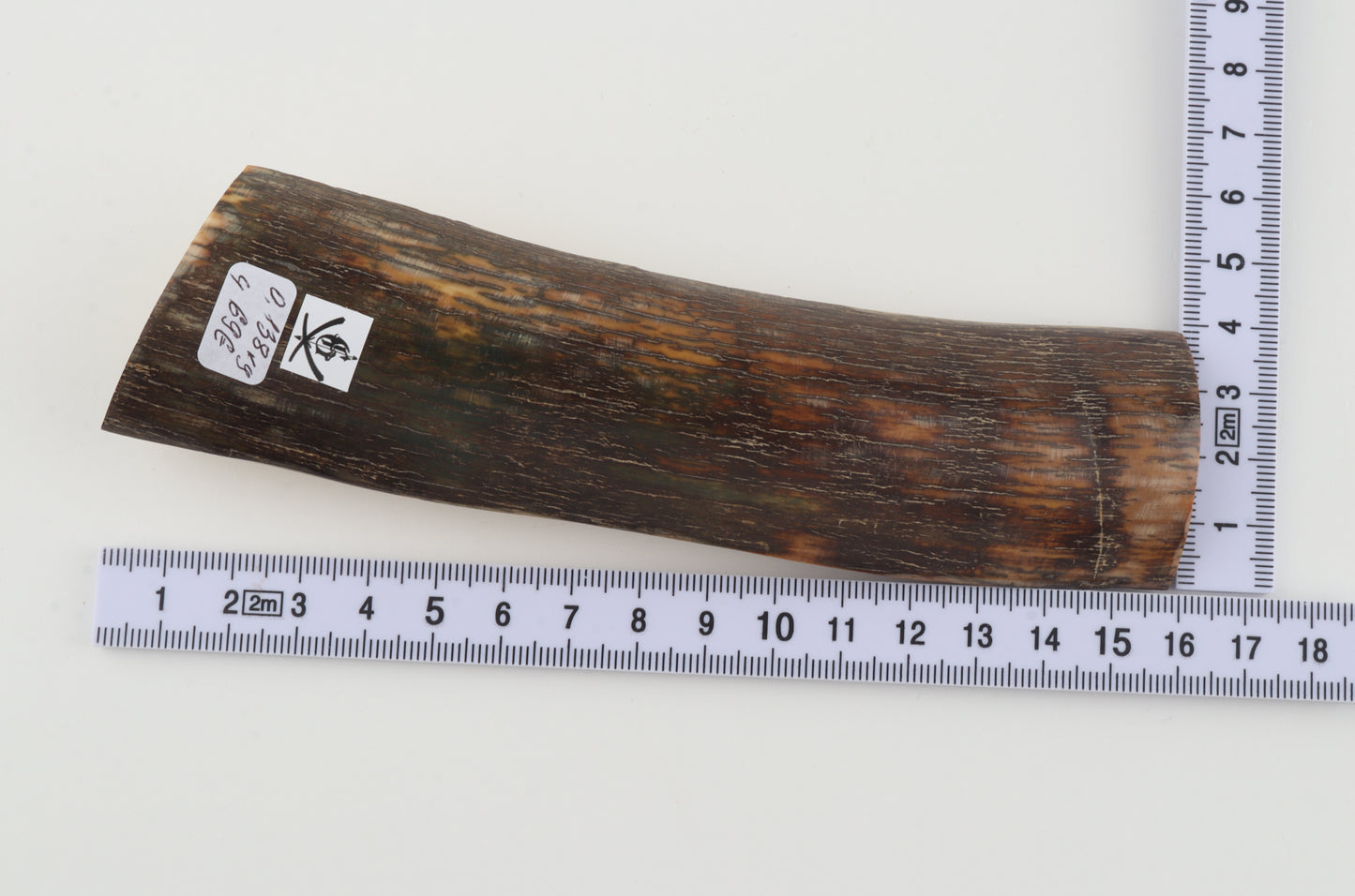 Brown-orange mammoth bark