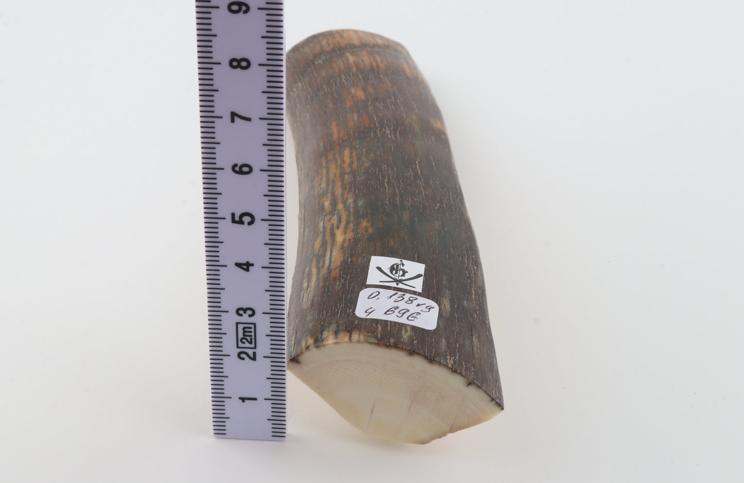 Brown-orange mammoth bark