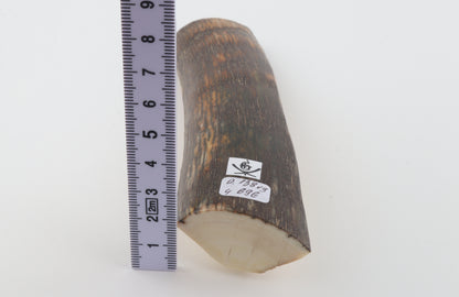 Brown-orange mammoth bark