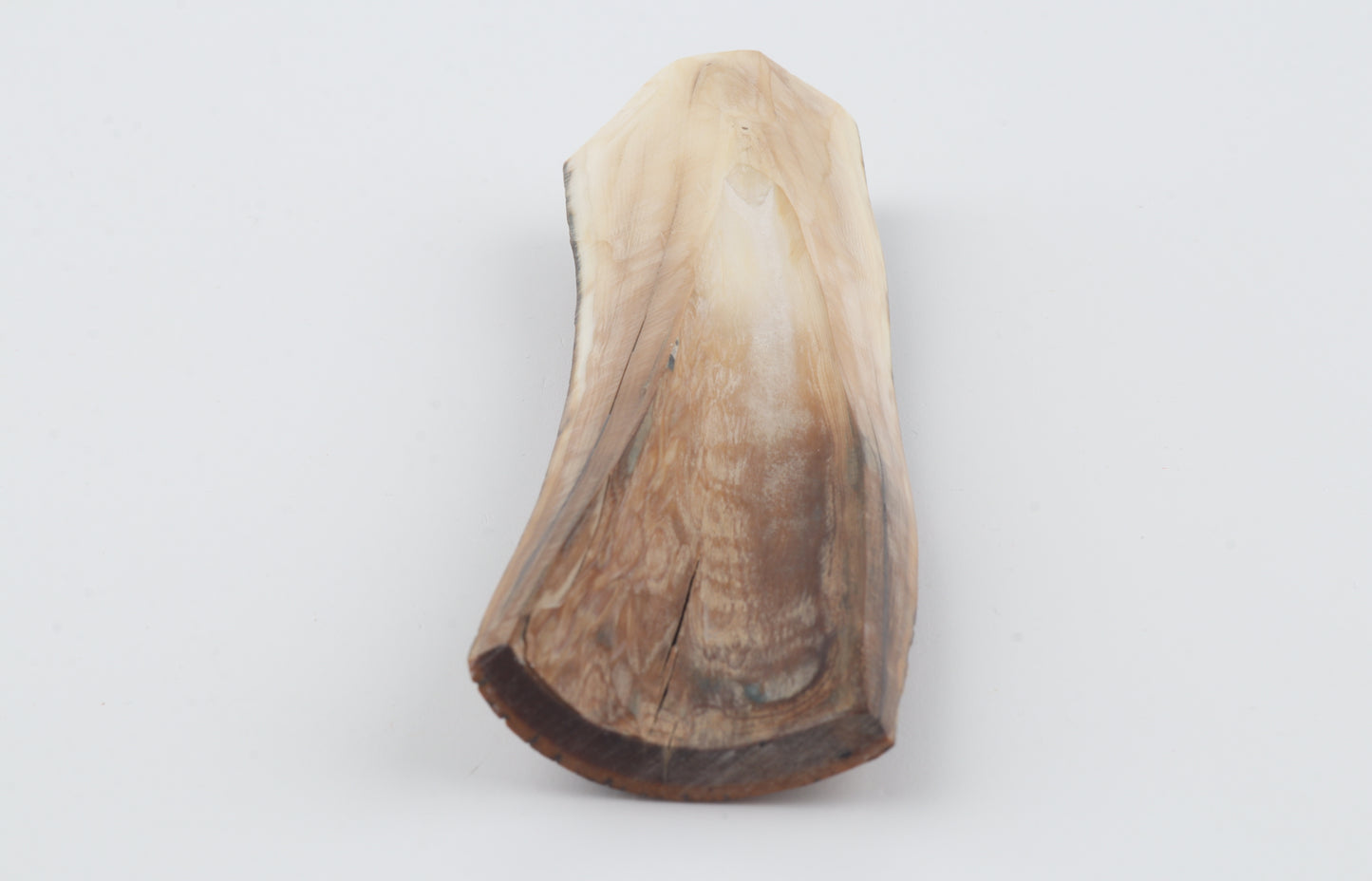 Brown-orange mammoth bark