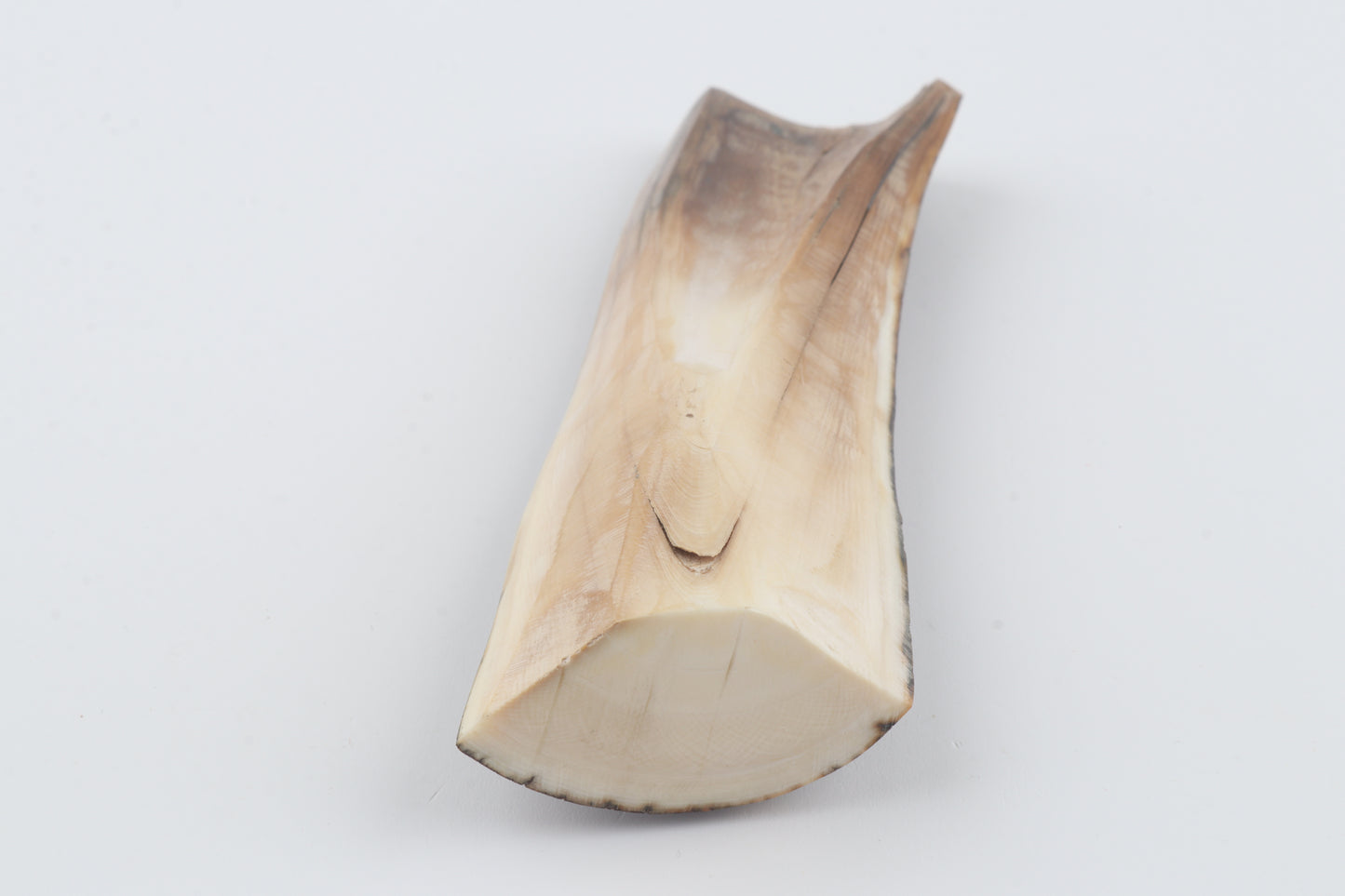 Brown-orange mammoth bark