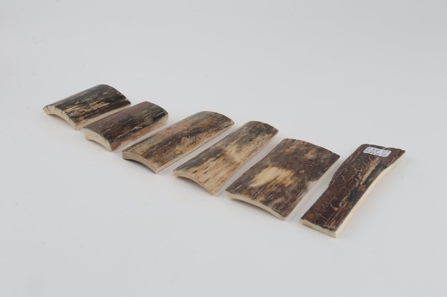 Natural mammoth bark pieces