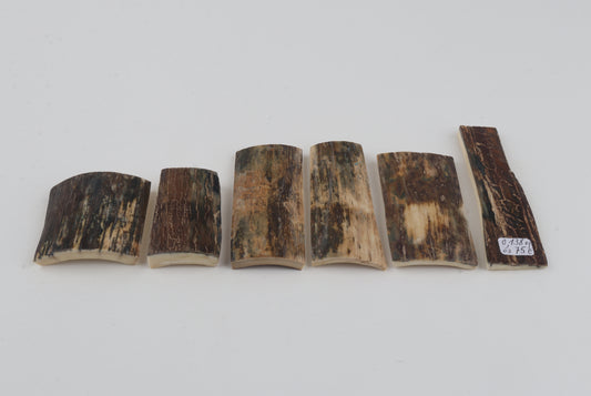 Natural mammoth bark pieces