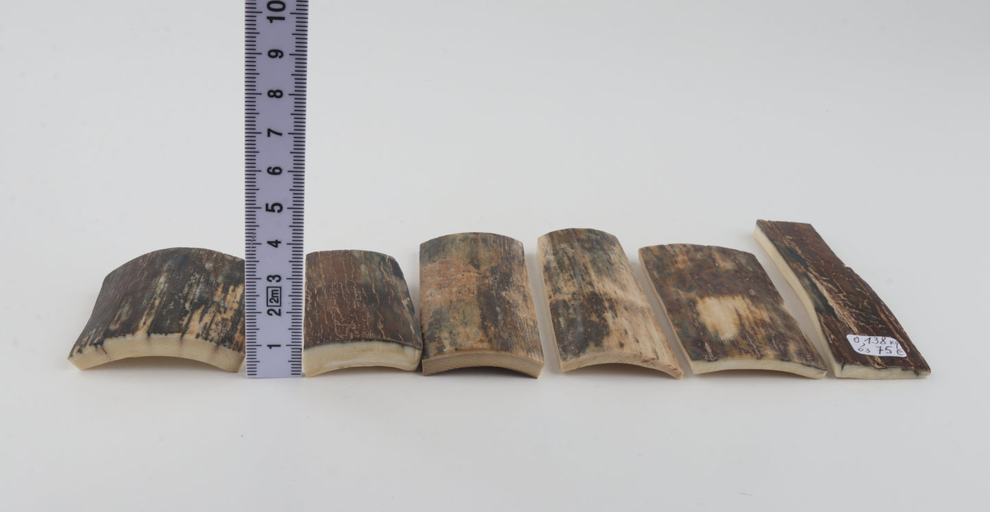 Natural mammoth bark pieces