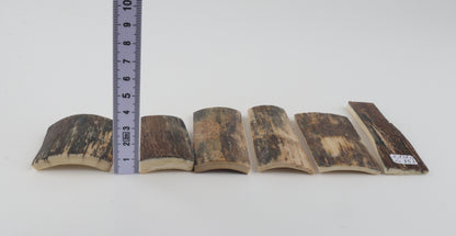 Natural mammoth bark pieces