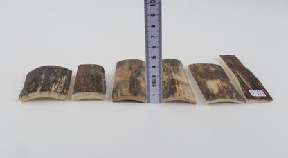 Natural mammoth bark pieces