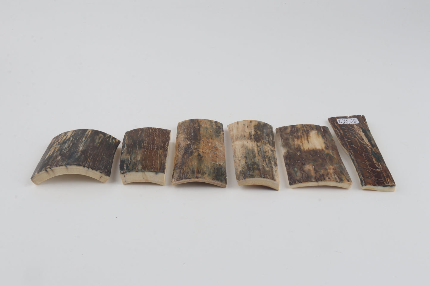 Natural mammoth bark pieces