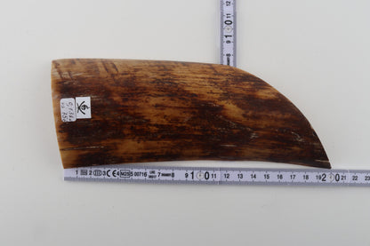 Brown-mustard mammoth bark