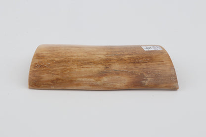 Beige mammoth bark
