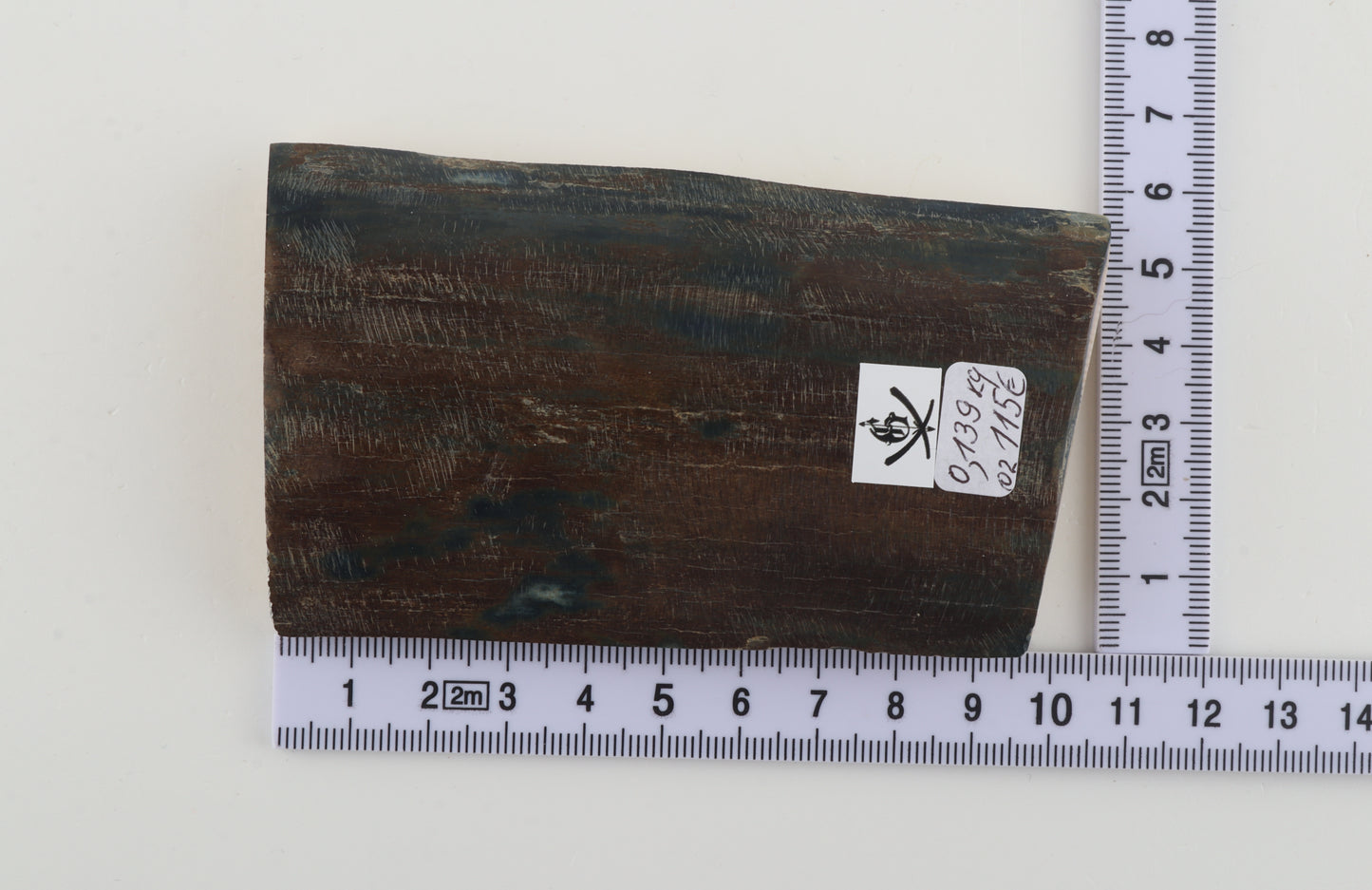 Blue-brown mammoth bark