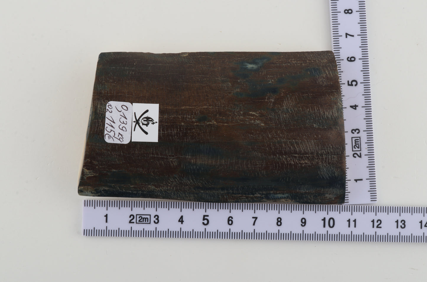 Blue-brown mammoth bark