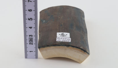 Blue-brown mammoth bark