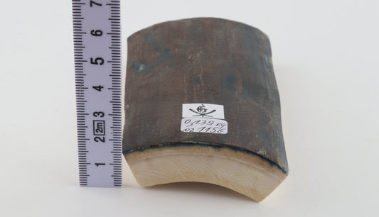 Blue-brown mammoth bark