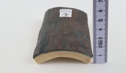 Blue-brown mammoth bark