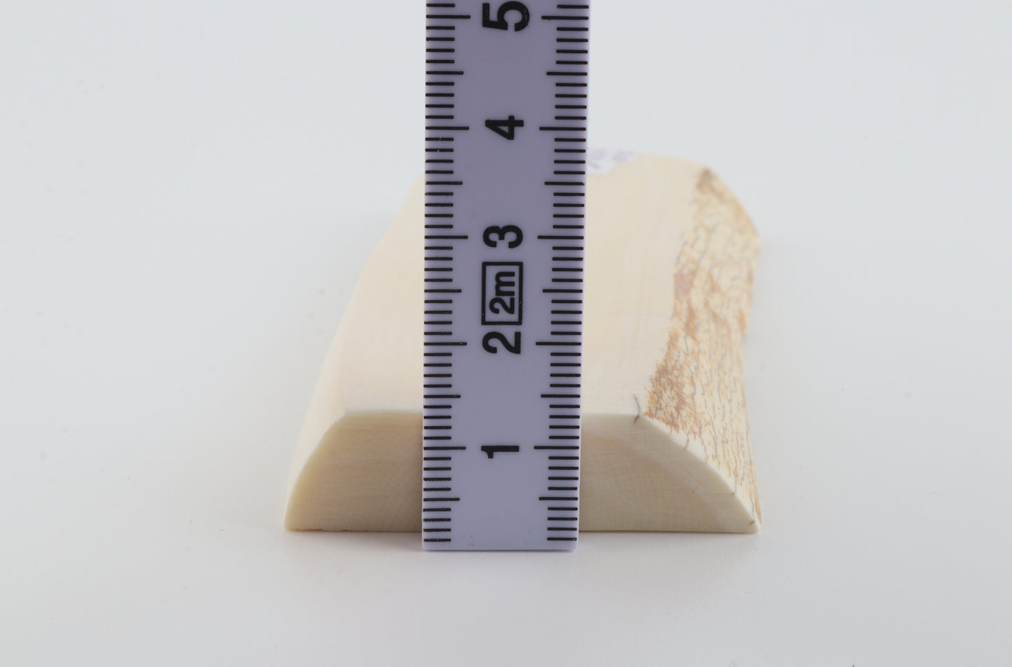 White mammoth ivory segment