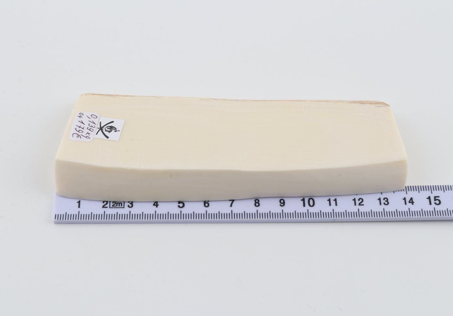 White mammoth ivory segment