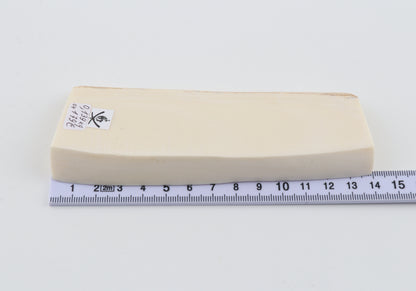 White mammoth ivory segment