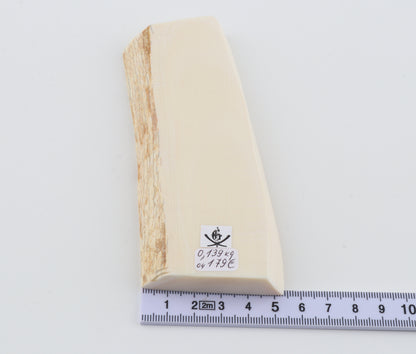 White mammoth ivory segment