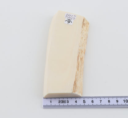 White mammoth ivory segment