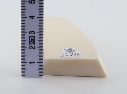 White mammoth ivory segment